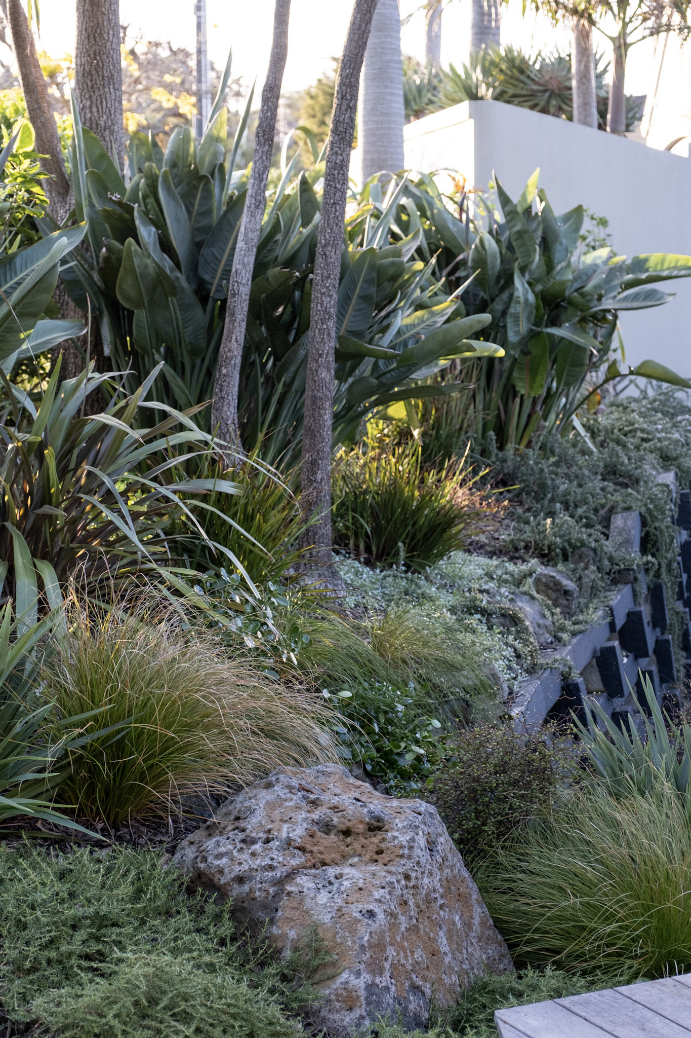 NZ Native Front Garden | Torbay