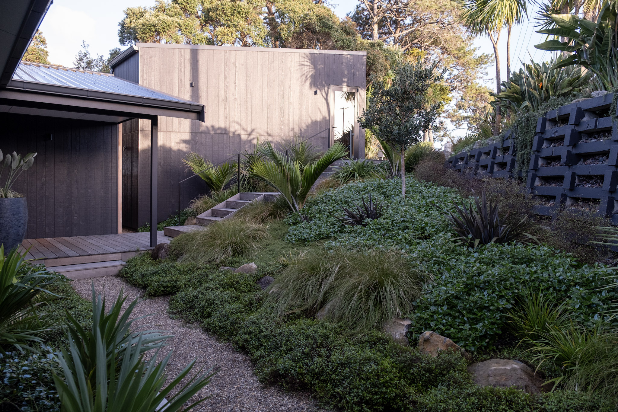 NZ Native Front Garden | Torbay