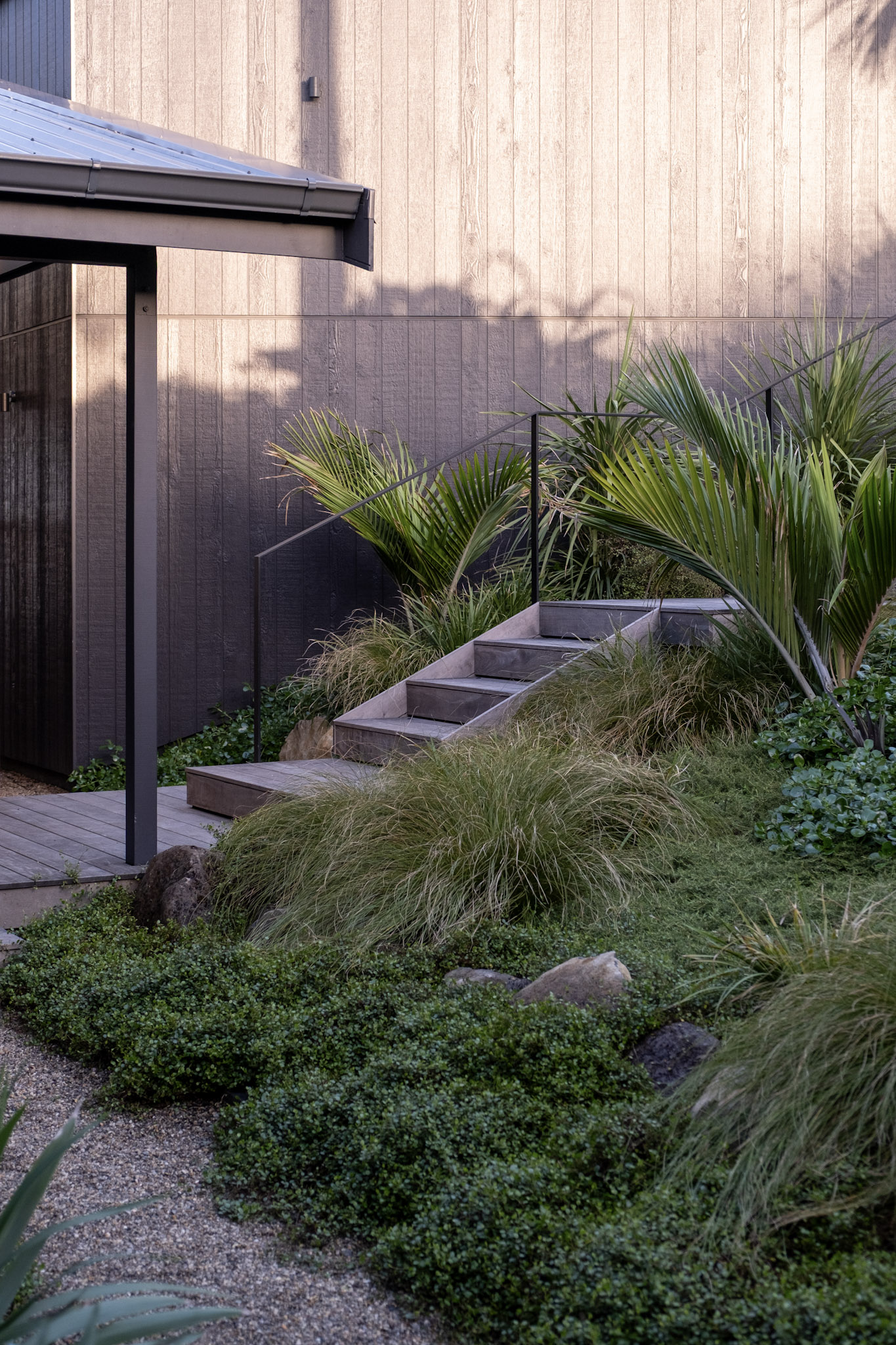 NZ Native Front Garden | Torbay
