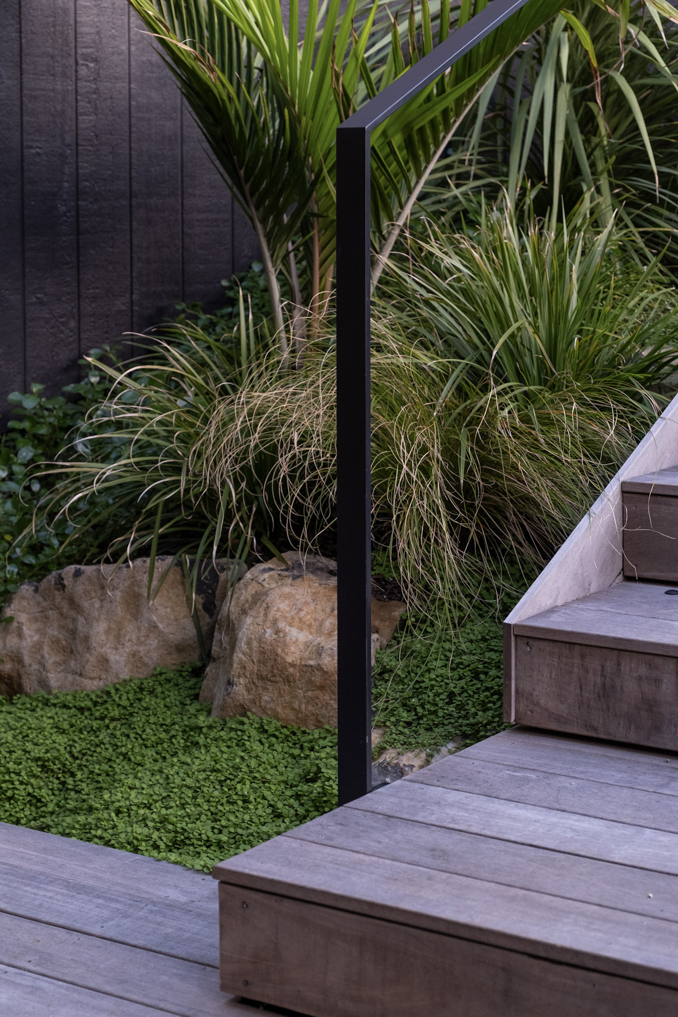 NZ Native Front Garden | Torbay