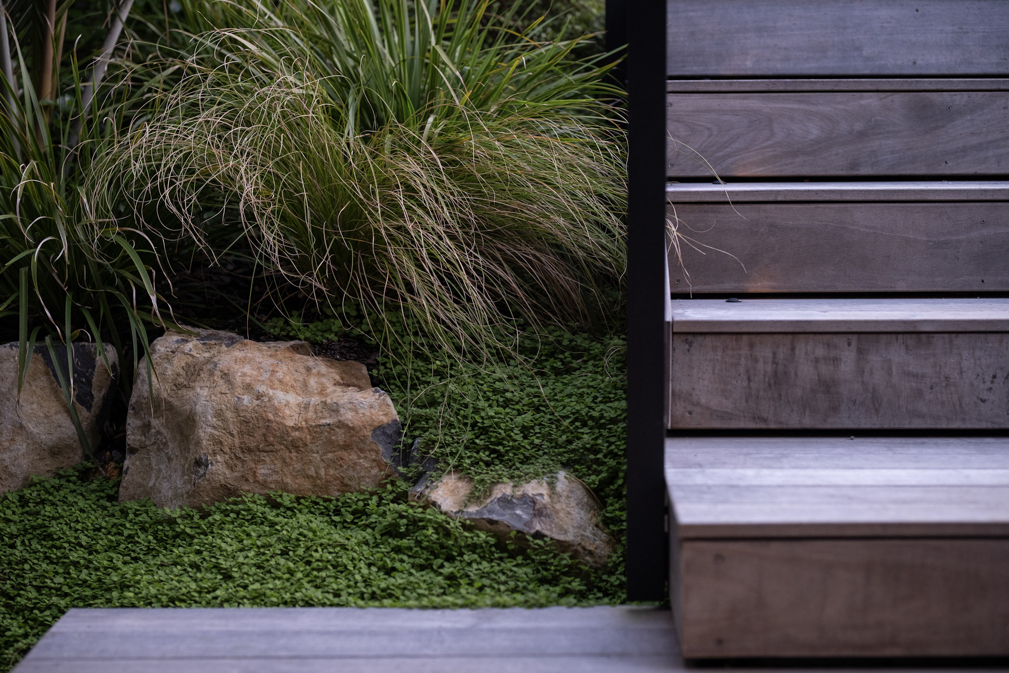 NZ Native Front Garden | Torbay