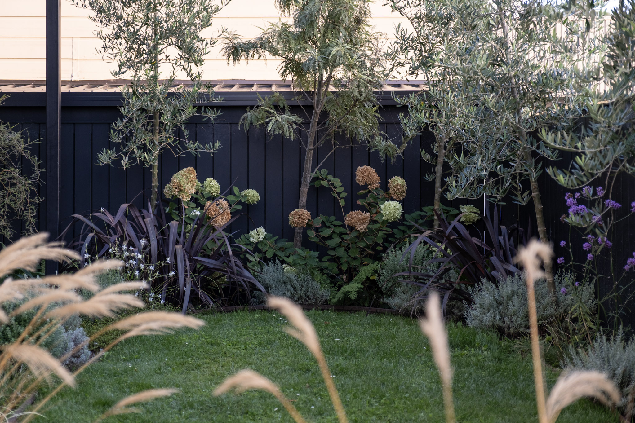 Flowering Perennial Garden | Takapuna