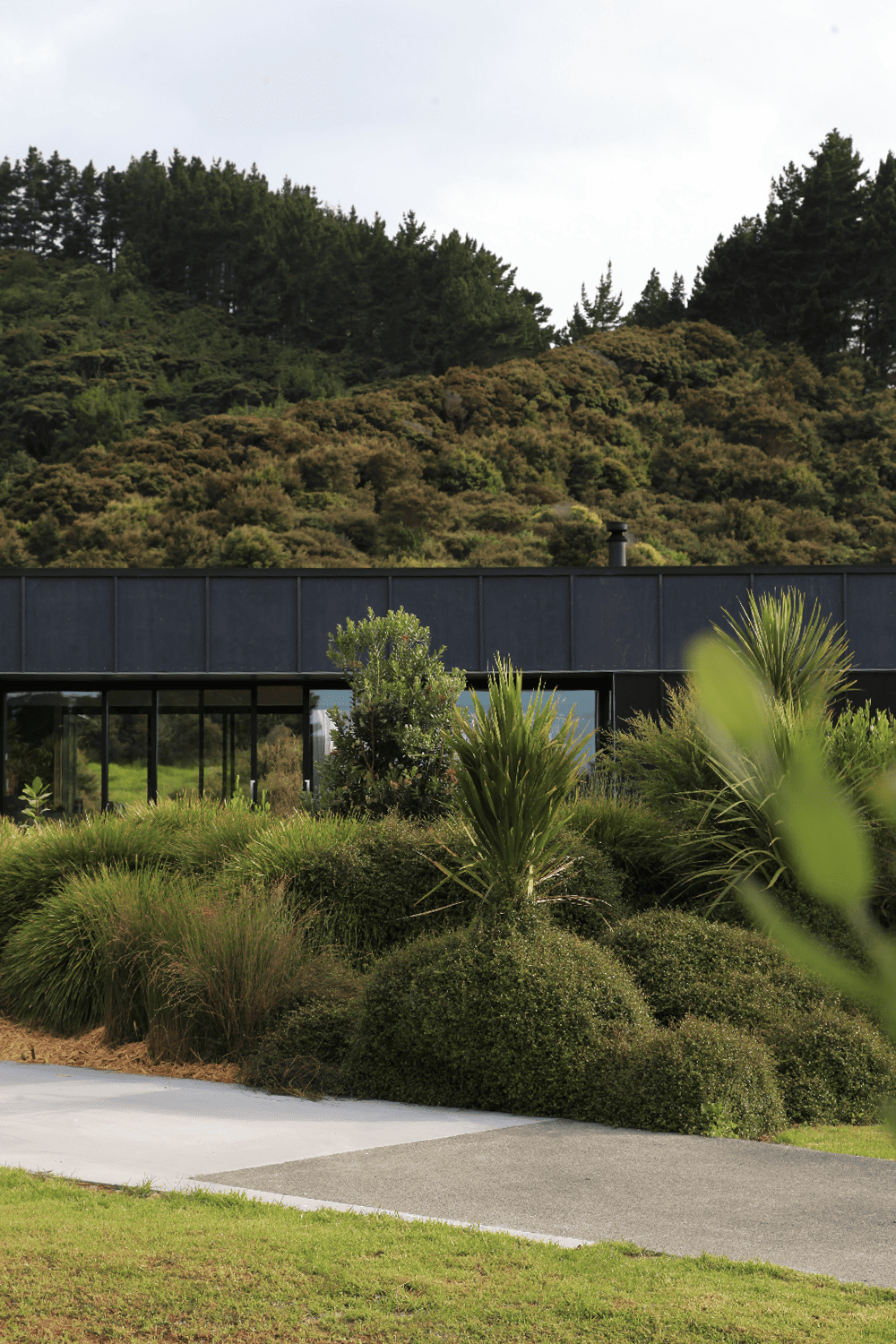 Native Coastal Sanctuary | Mangawhai Heads