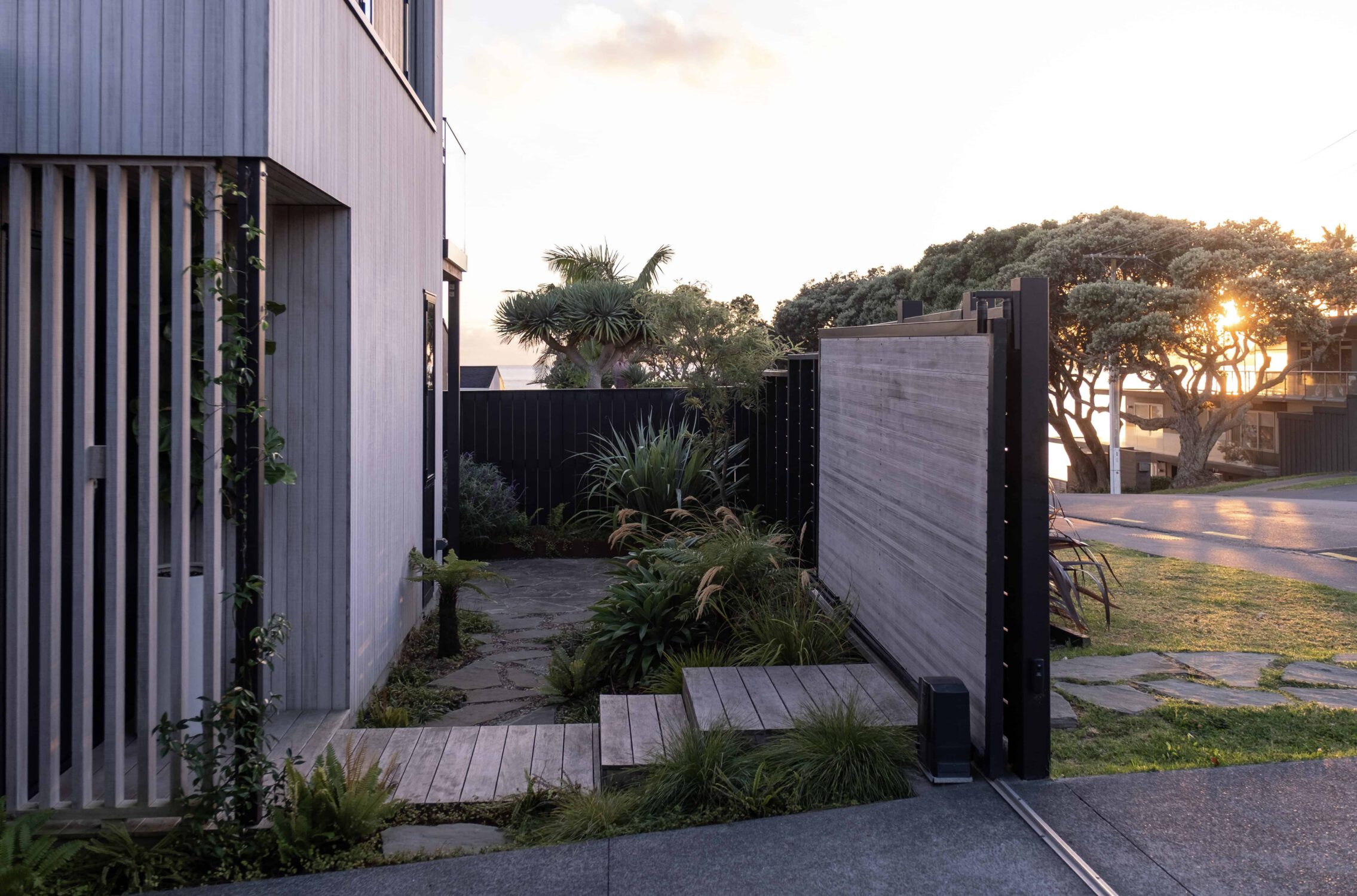 NZ Native, coastal tolerant garden full of flowering perennials. Sculpt is a landscape design studio based in Auckland.