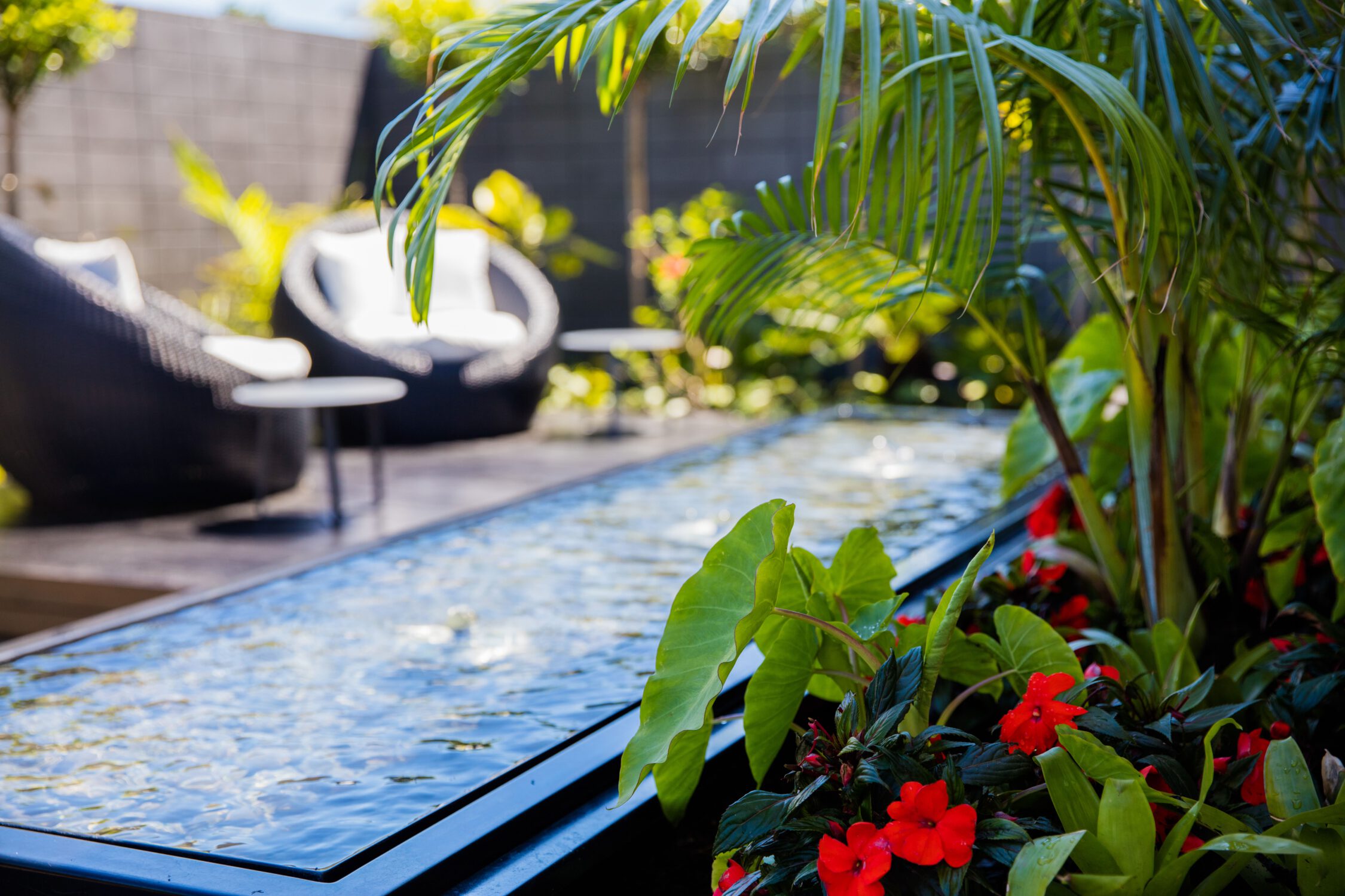 Tropical Courtyard | Hauraki