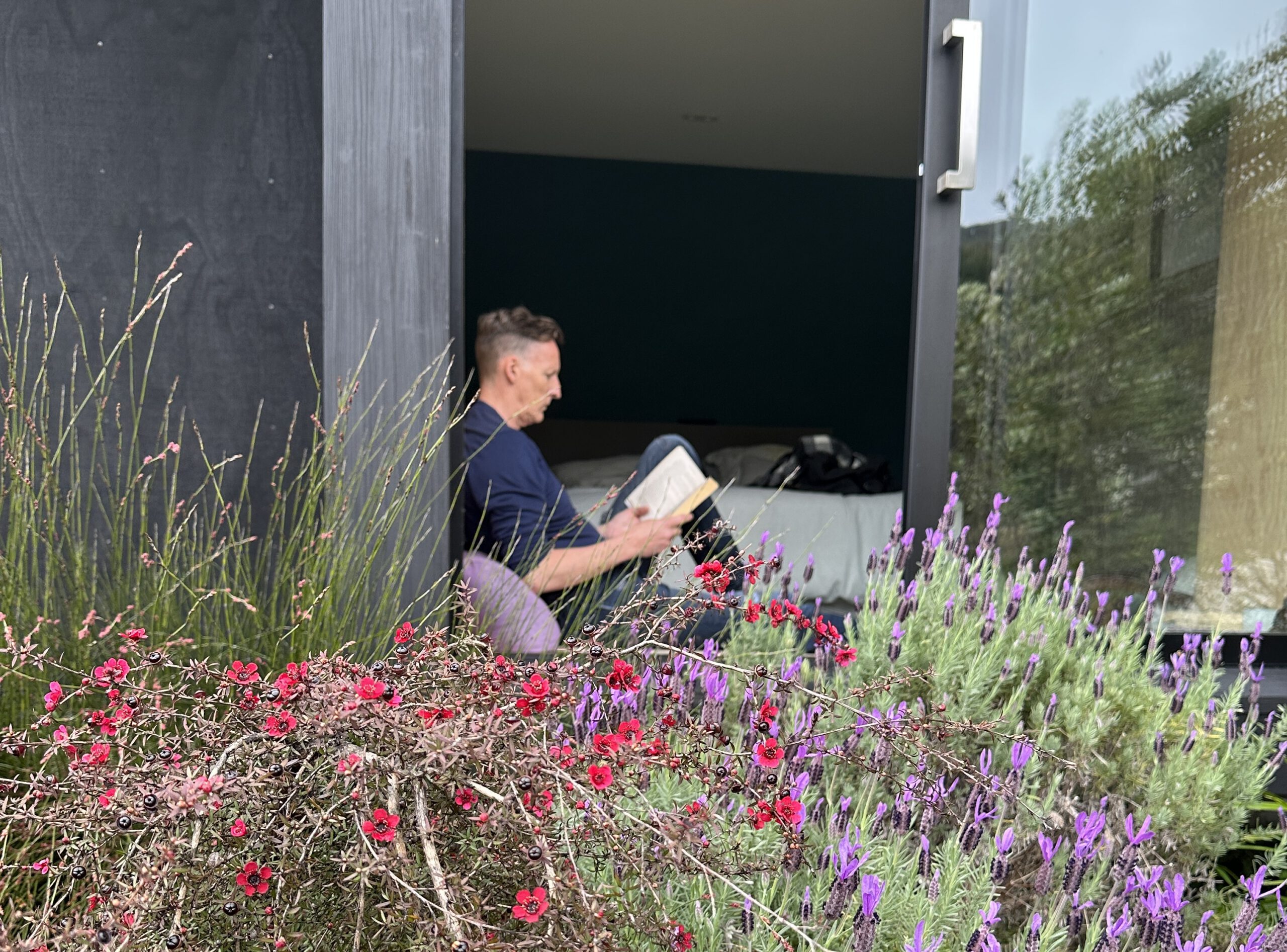 NZ Native Sanctuary Garden, Mangawhai Heads