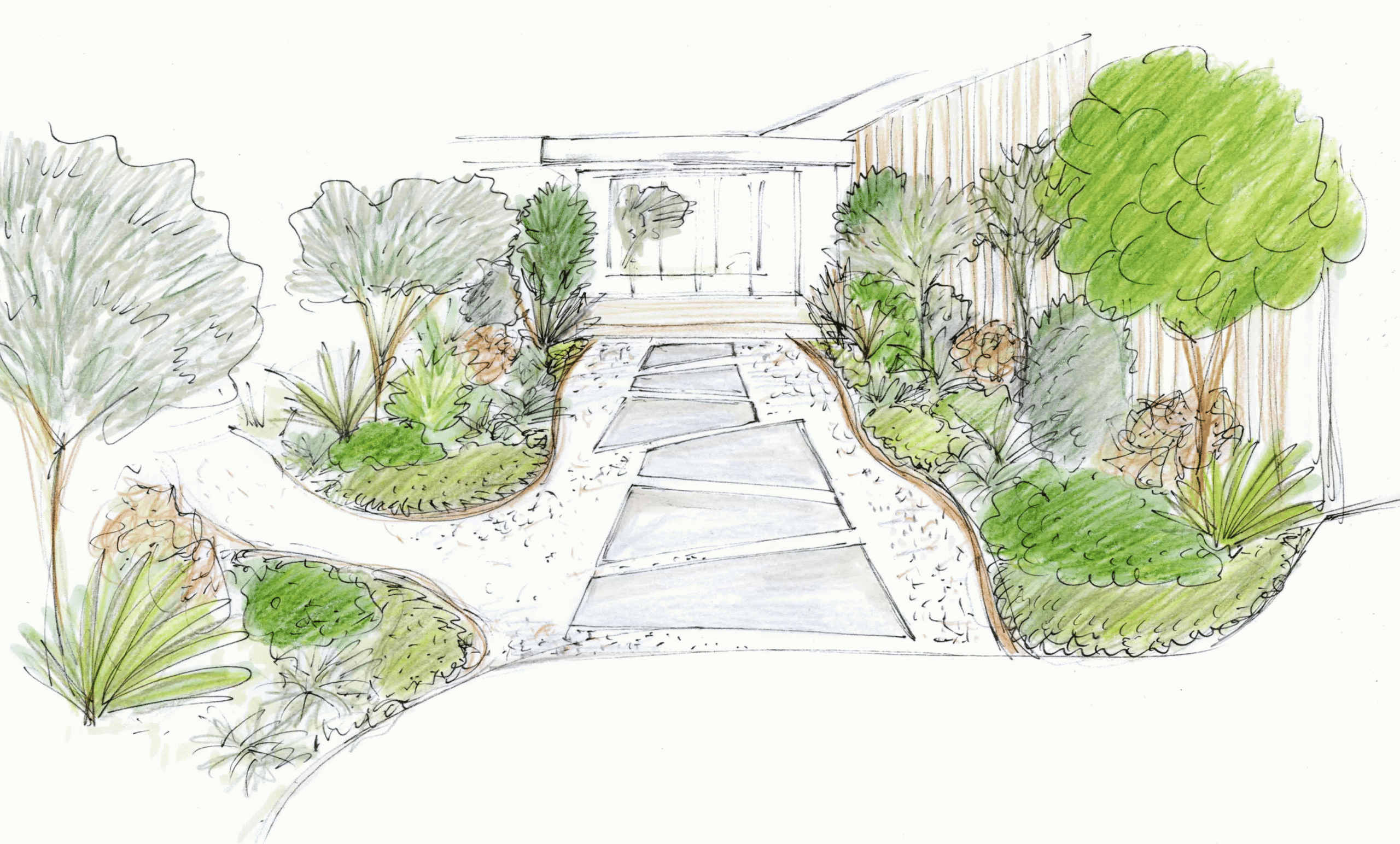 Biodiverse planting ideal for pollinators