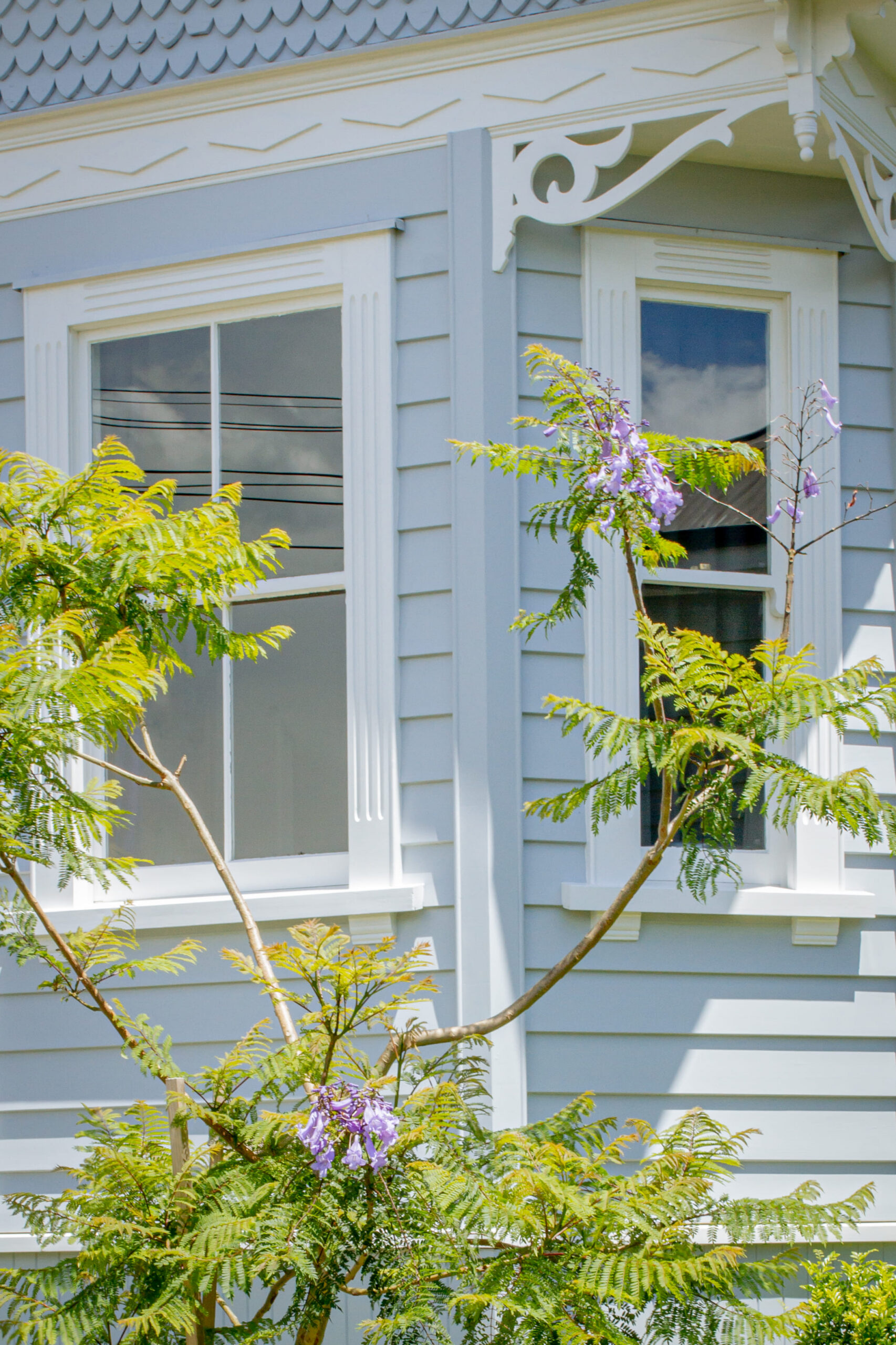 Pink Floral Garden | Stanley Bay