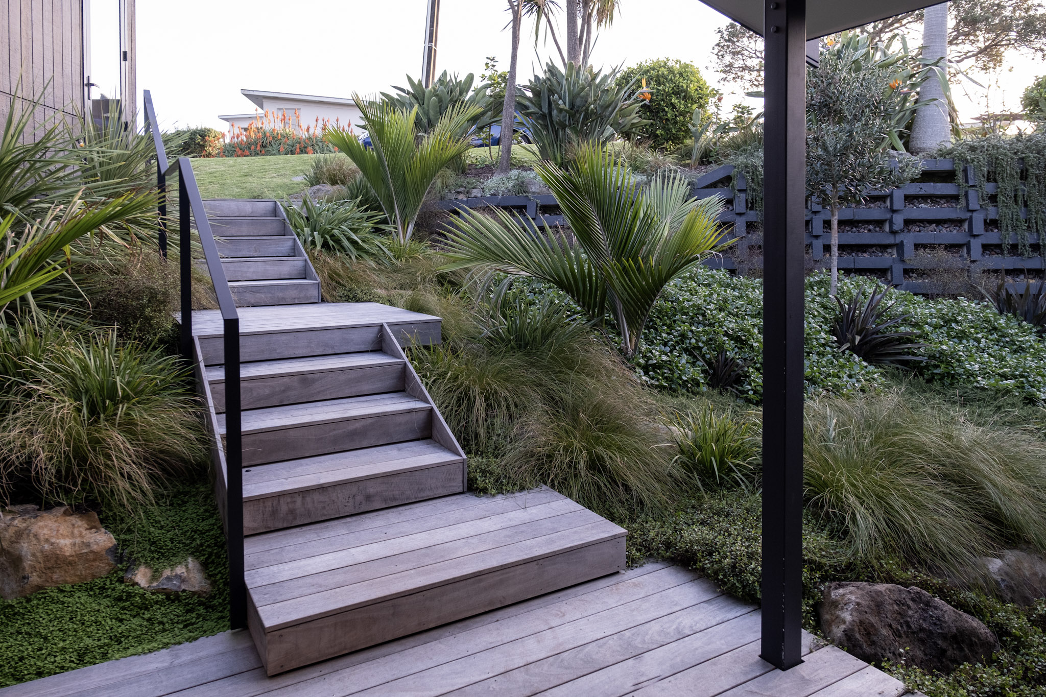 NZ Native Front Garden | Torbay