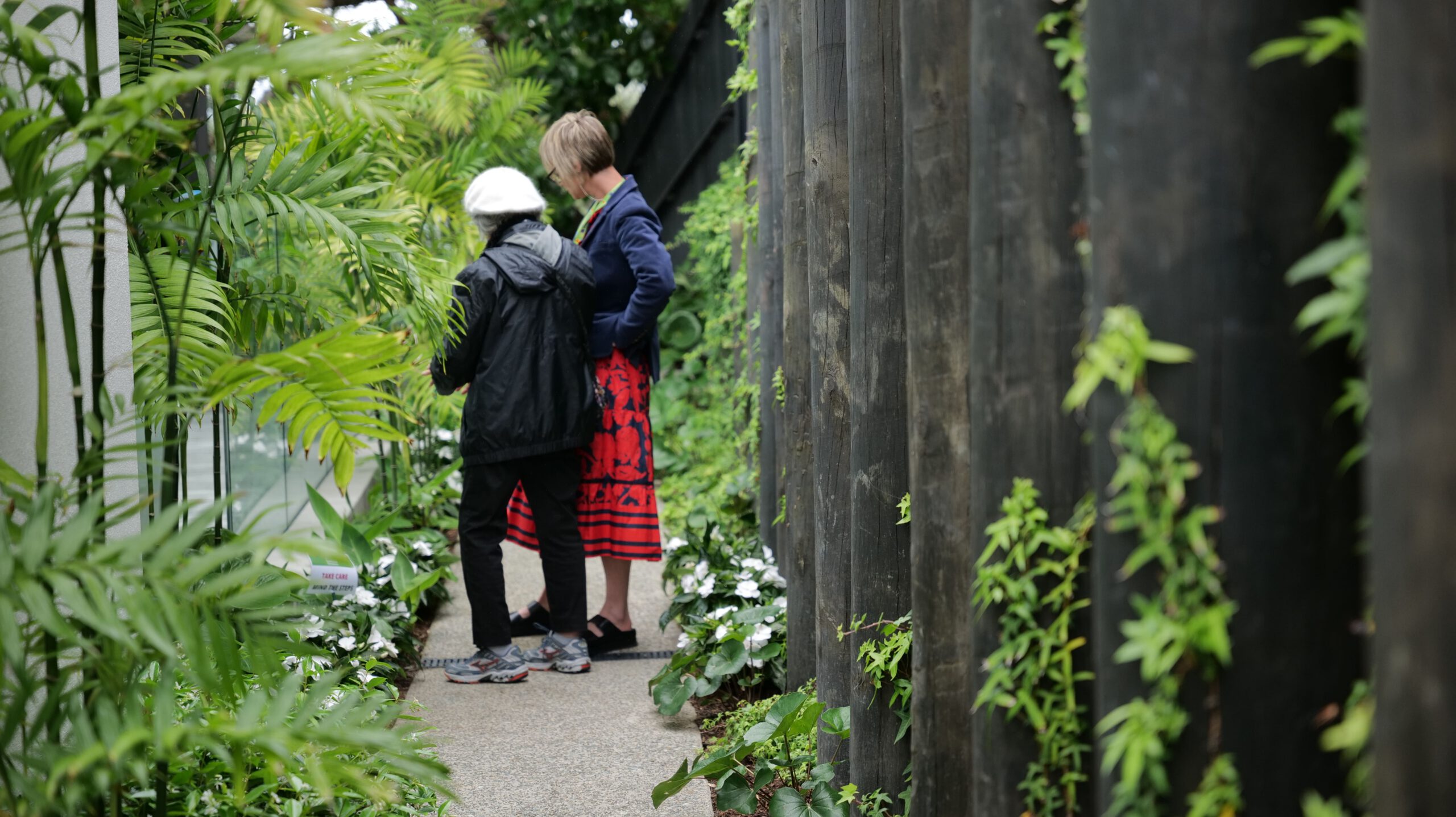 Phase One | Consultation