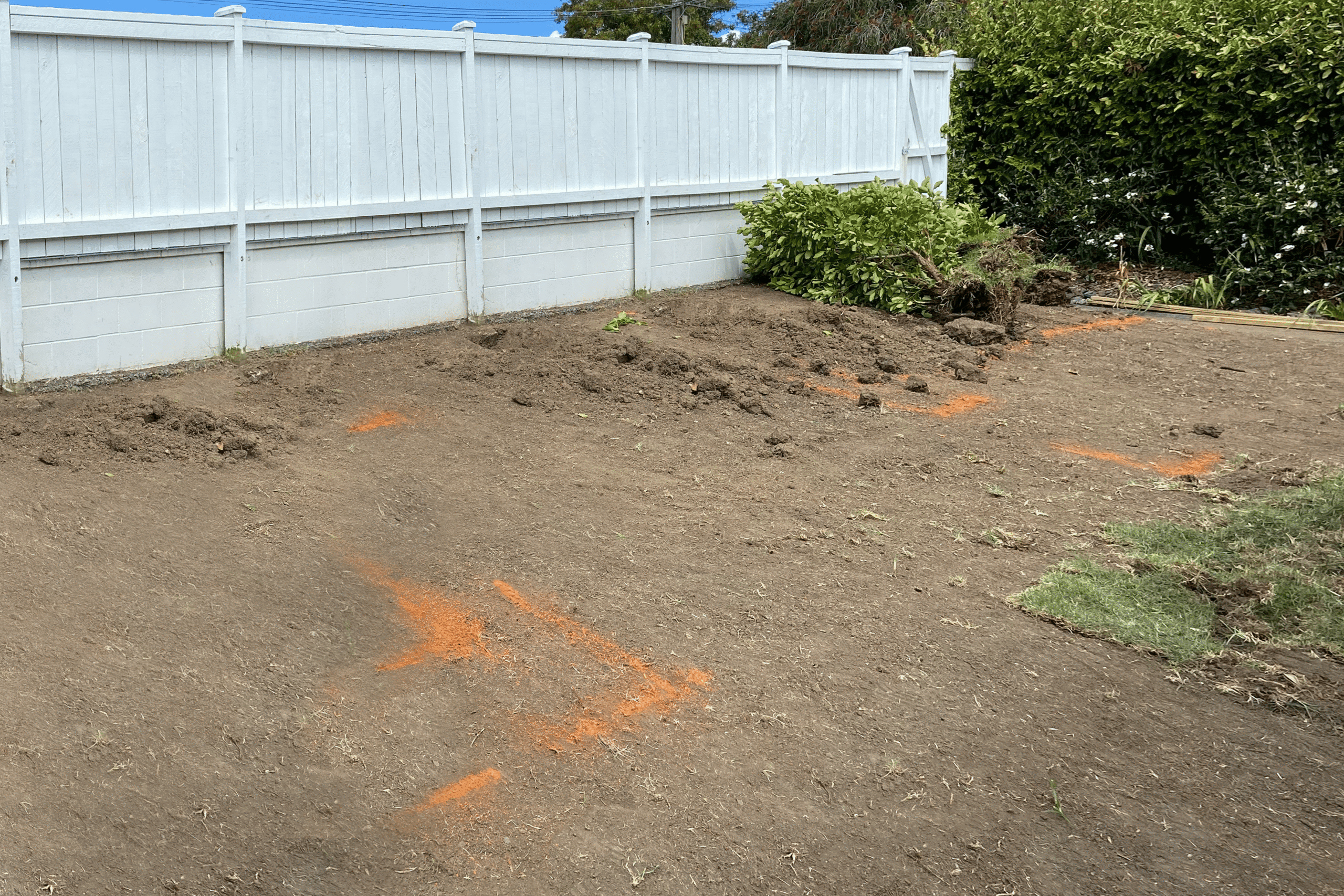 After image of the site