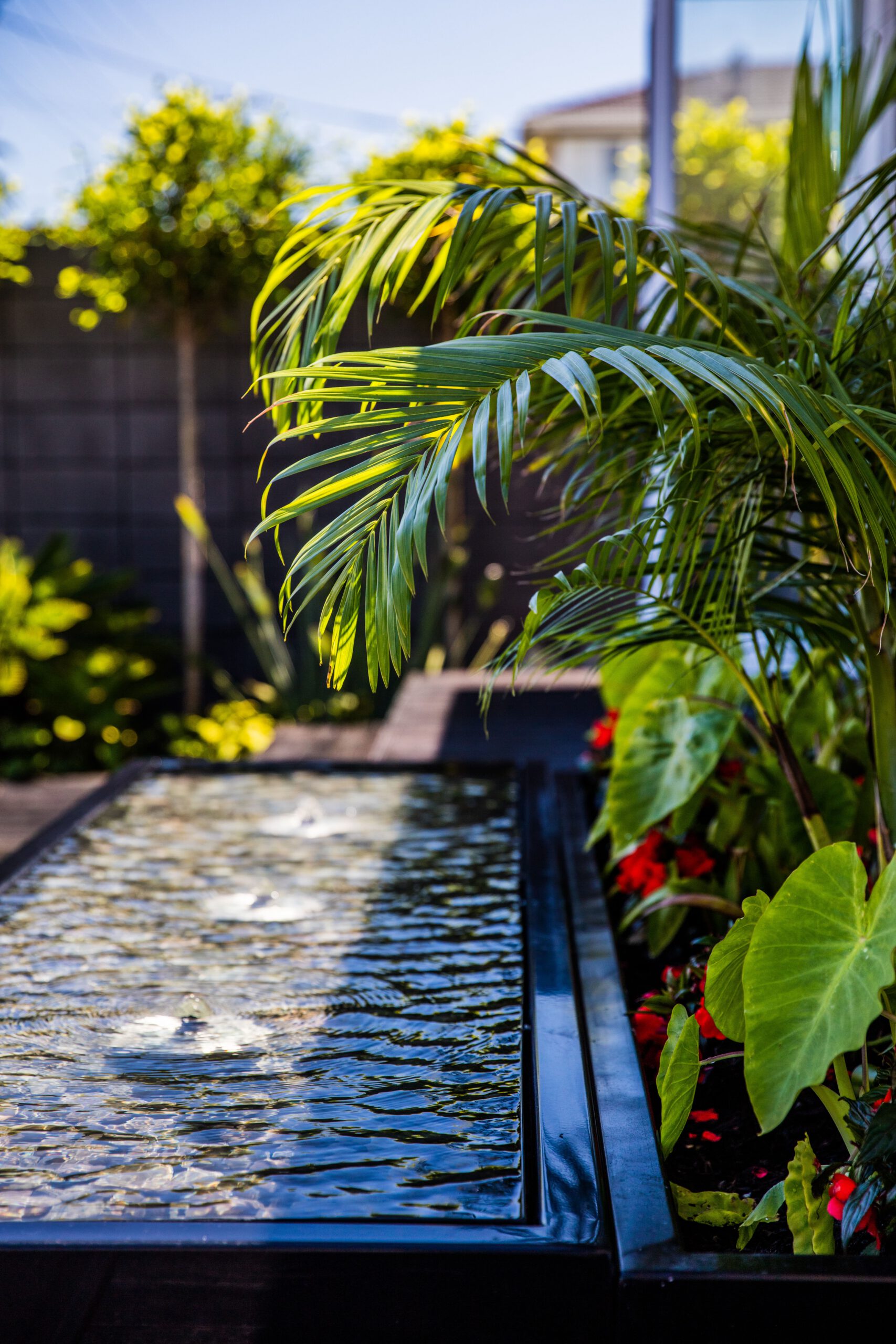 Tropical Courtyard | Hauraki