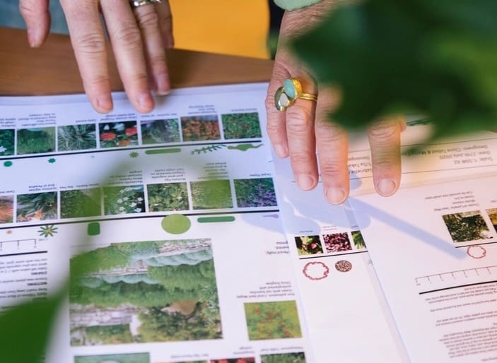 Phase Two | Custom Planting Plan