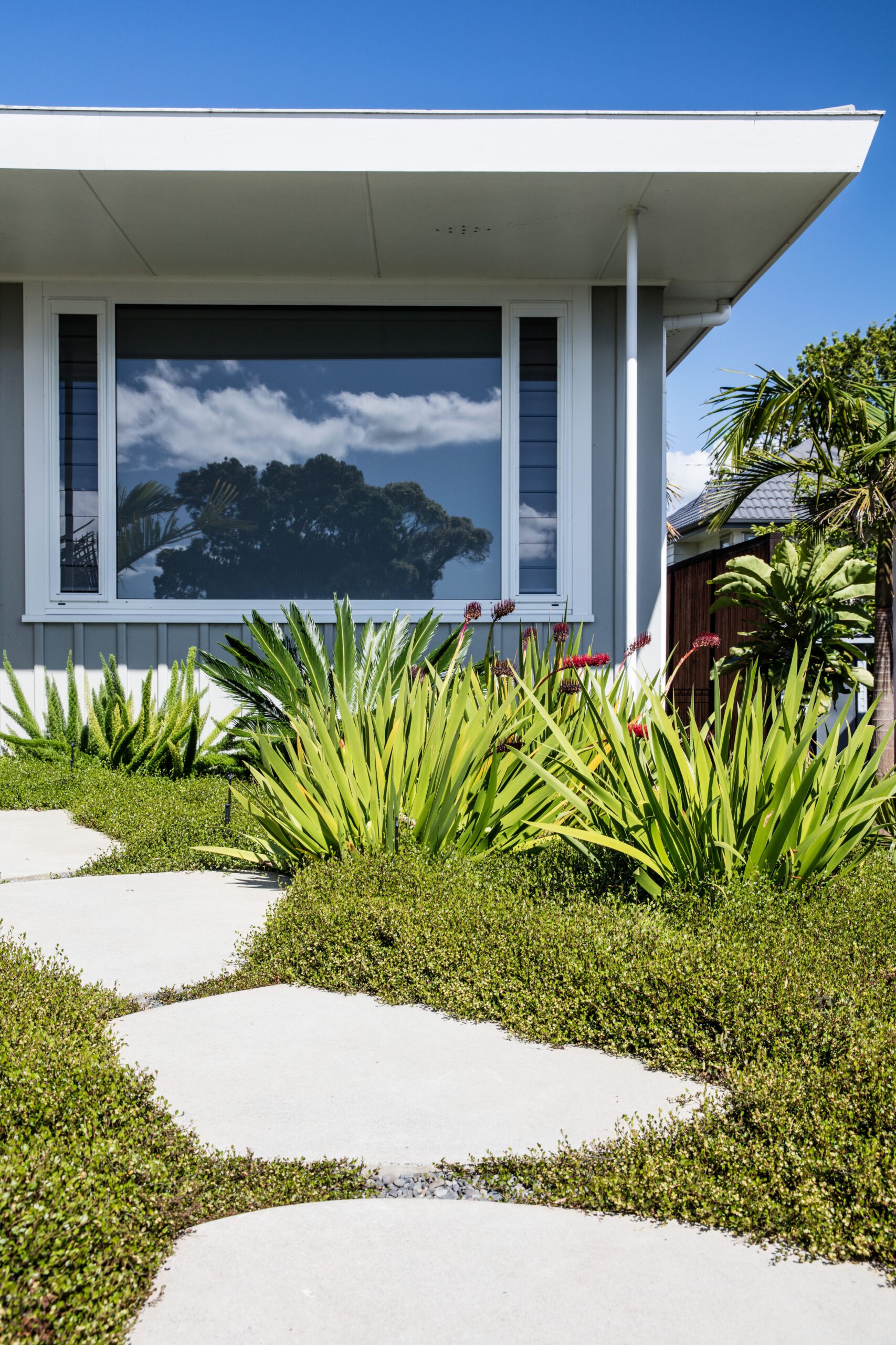 Contemporary Front Garden | Hillcrest