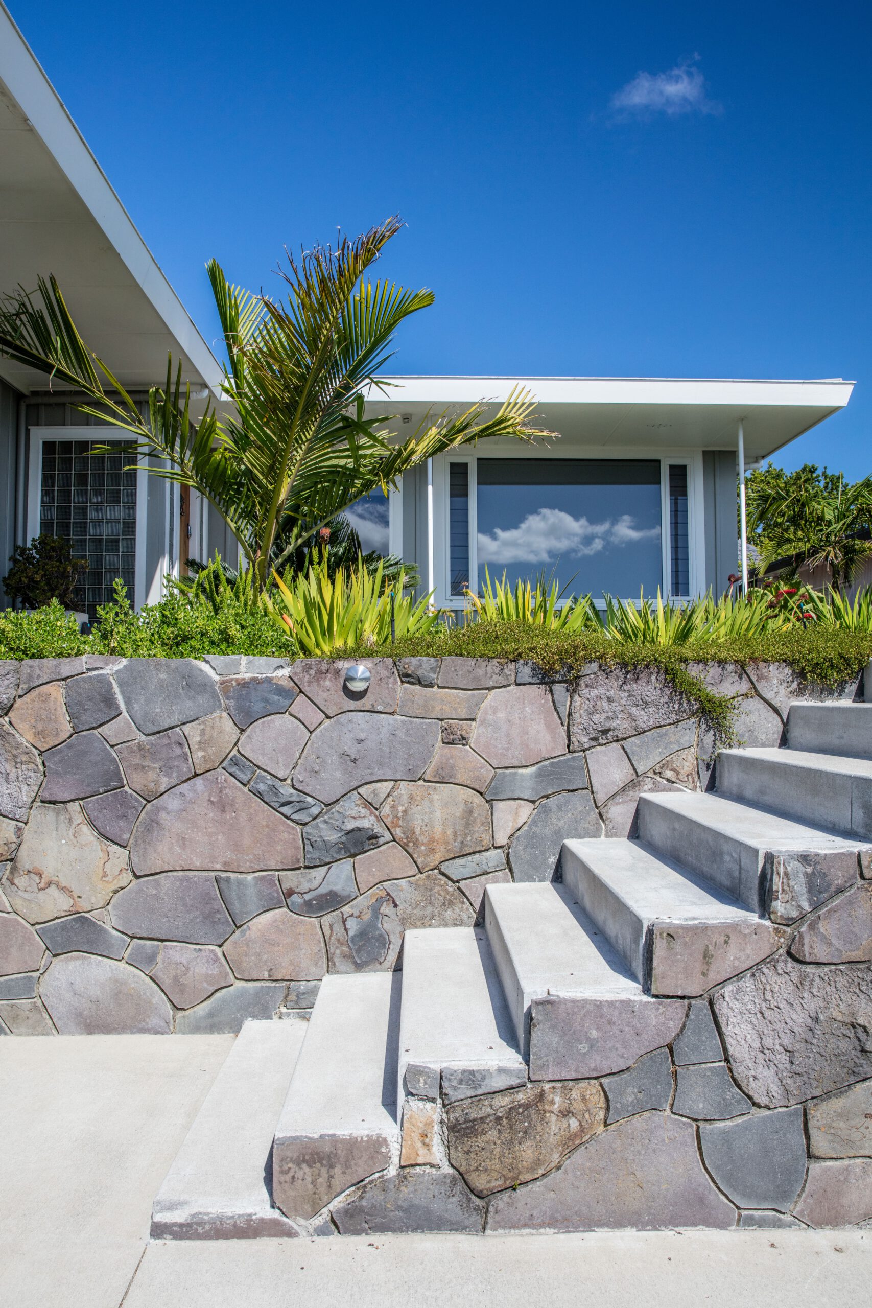 Contemporary Front Garden | Hillcrest