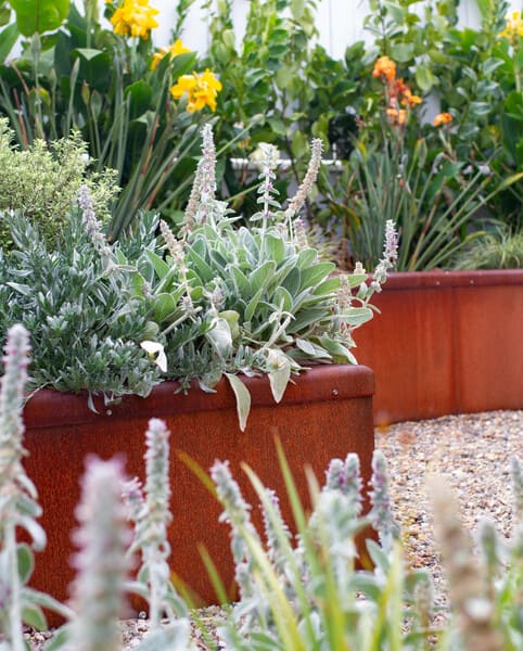 Bee & Bird Attracting Garden | Hauraki